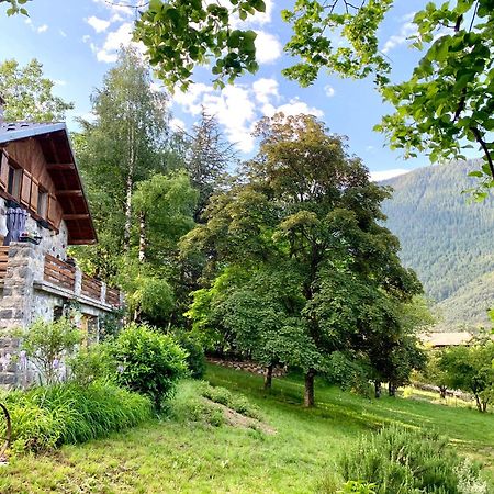 Chalet Le Tilleul Valdeblore Exterior photo