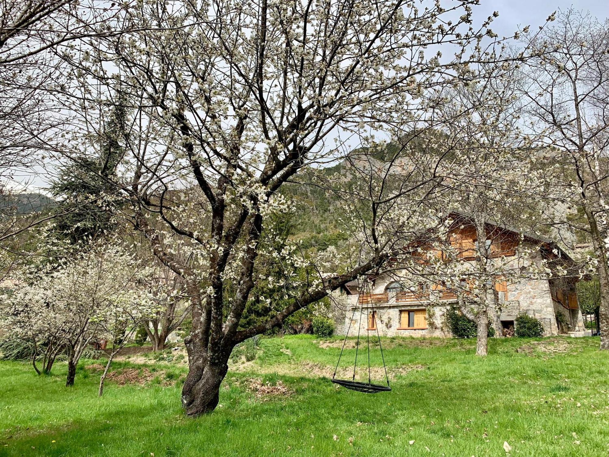 Chalet Le Tilleul Valdeblore Exterior photo